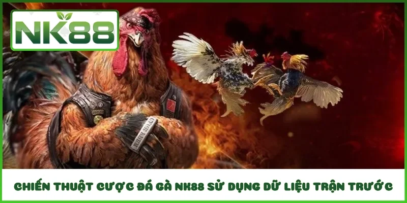 Chiến thuật cược đá gà NK88 sử dụng dữ liệu trận trước