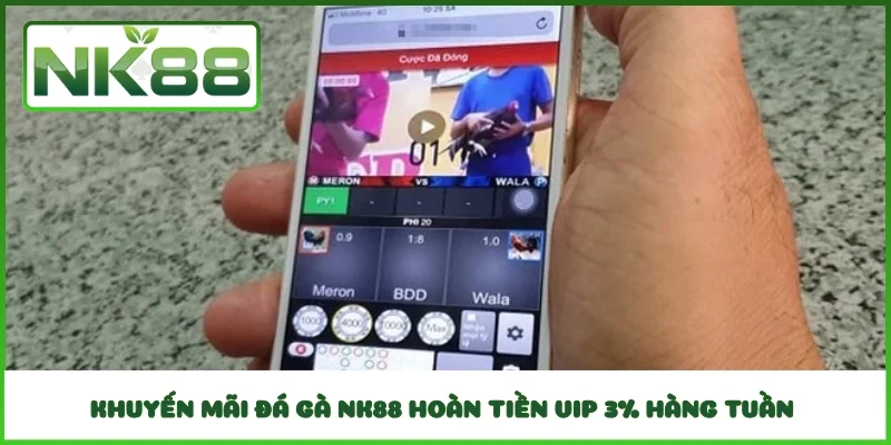 Khuyến mãi đá gà NK88 hoàn tiền VIP 3% hàng tuần 