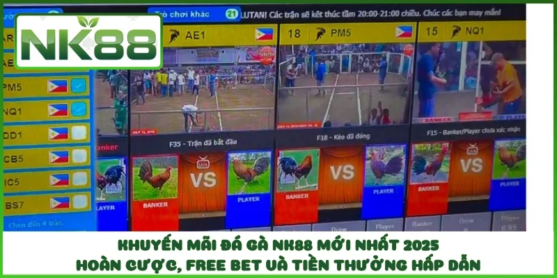 Khuyến Mãi Đá Gà NK88 Mới Nhất 2025 – Hoàn Cược, Free Bet và Tiền Thưởng Hấp Dẫn
