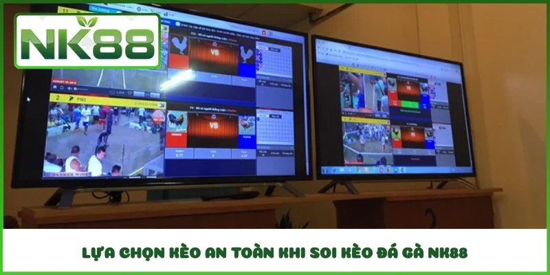 Lựa chọn kèo an toàn khi soi kèo đá gà NK88
