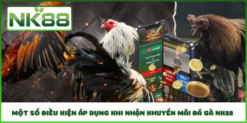 Một số điều kiện áp dụng khi nhận khuyến mãi đá gà NK88 