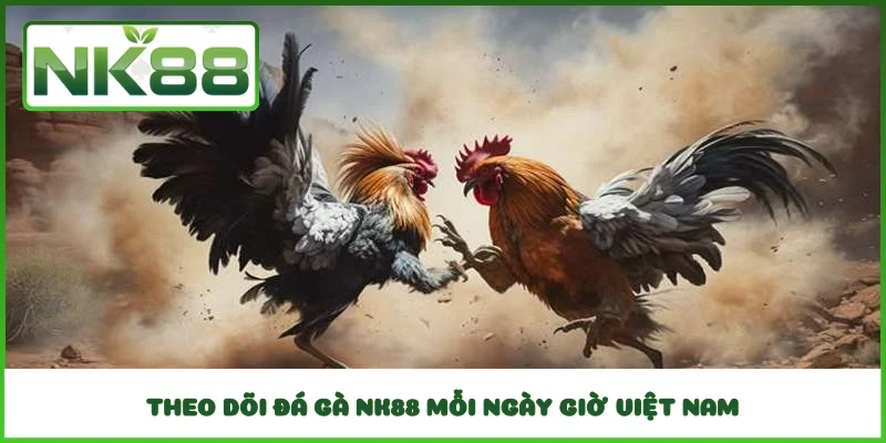Theo dõi đá gà NK88 mỗi ngày giờ Việt Nam
