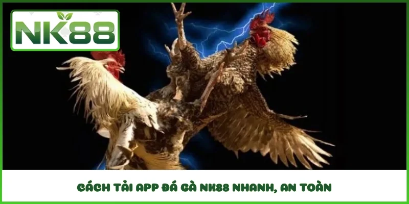 Cách tải app đá gà NK88 nhanh, an toàn