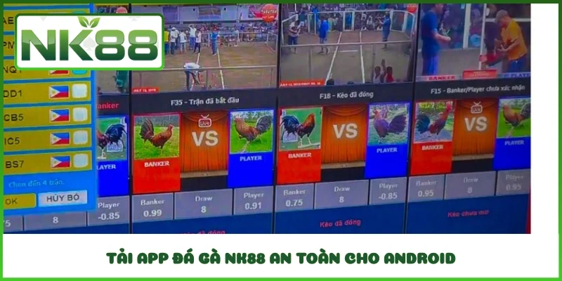 Tải app đá gà NK88 an toàn cho Android