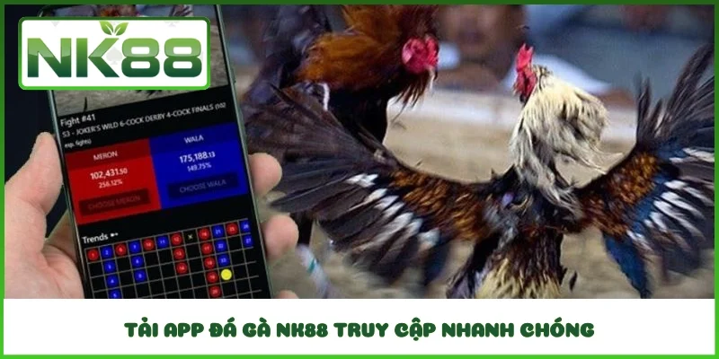 Tải app đá gà NK88 truy cập nhanh chóng