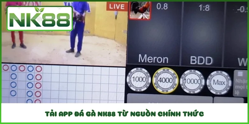 Tải app đá gà NK88 từ nguồn chính thức