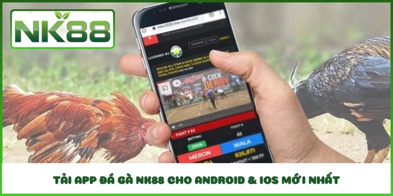 Tải App Đá Gà NK88 Cho Android & iOS Mới Nhất